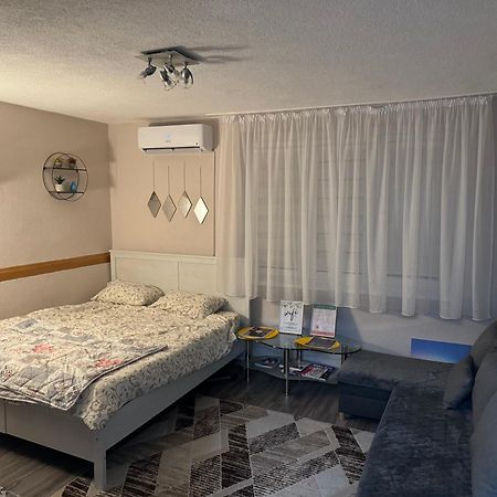 T&N Studio-Center-Free Parking,Ac,Train-Bus Station Sarajevo Bagian luar foto